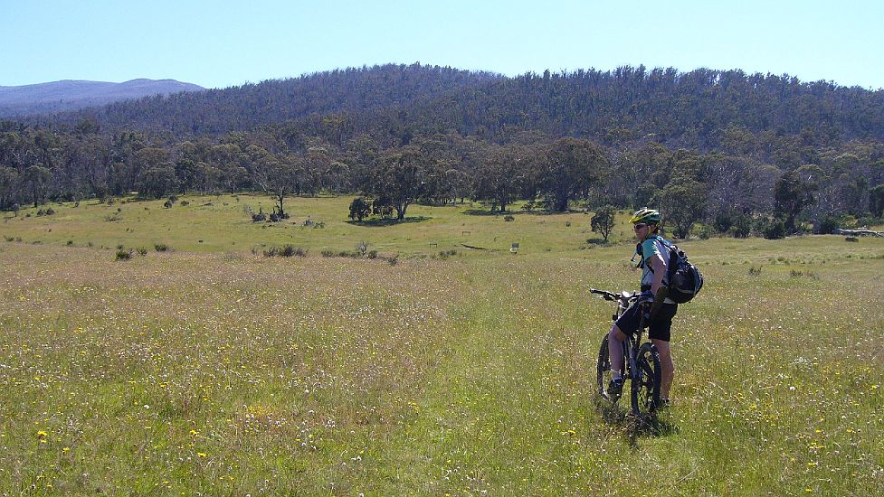 14-Heidi checks the GPS for the Vic-NSW border crossing on Cowombat Flat.JPG